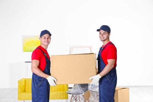 Man with van team preparing a safe moving service