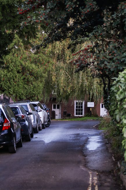 A narrow residential driveway during daytime, with several parked cars lined up along the left side, including dark-colored hatchbacks and sedans, partially covered in shadows from overhanging trees. 